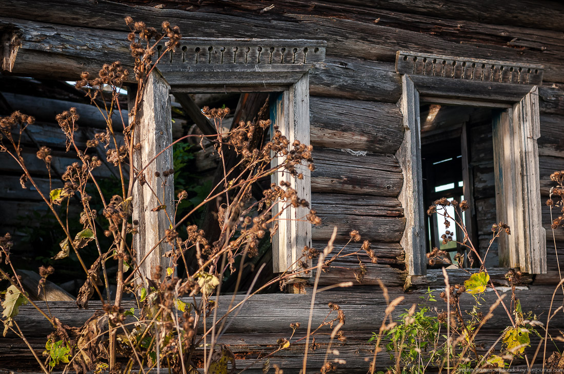 дер. Кучепалда, Архангельская обл.