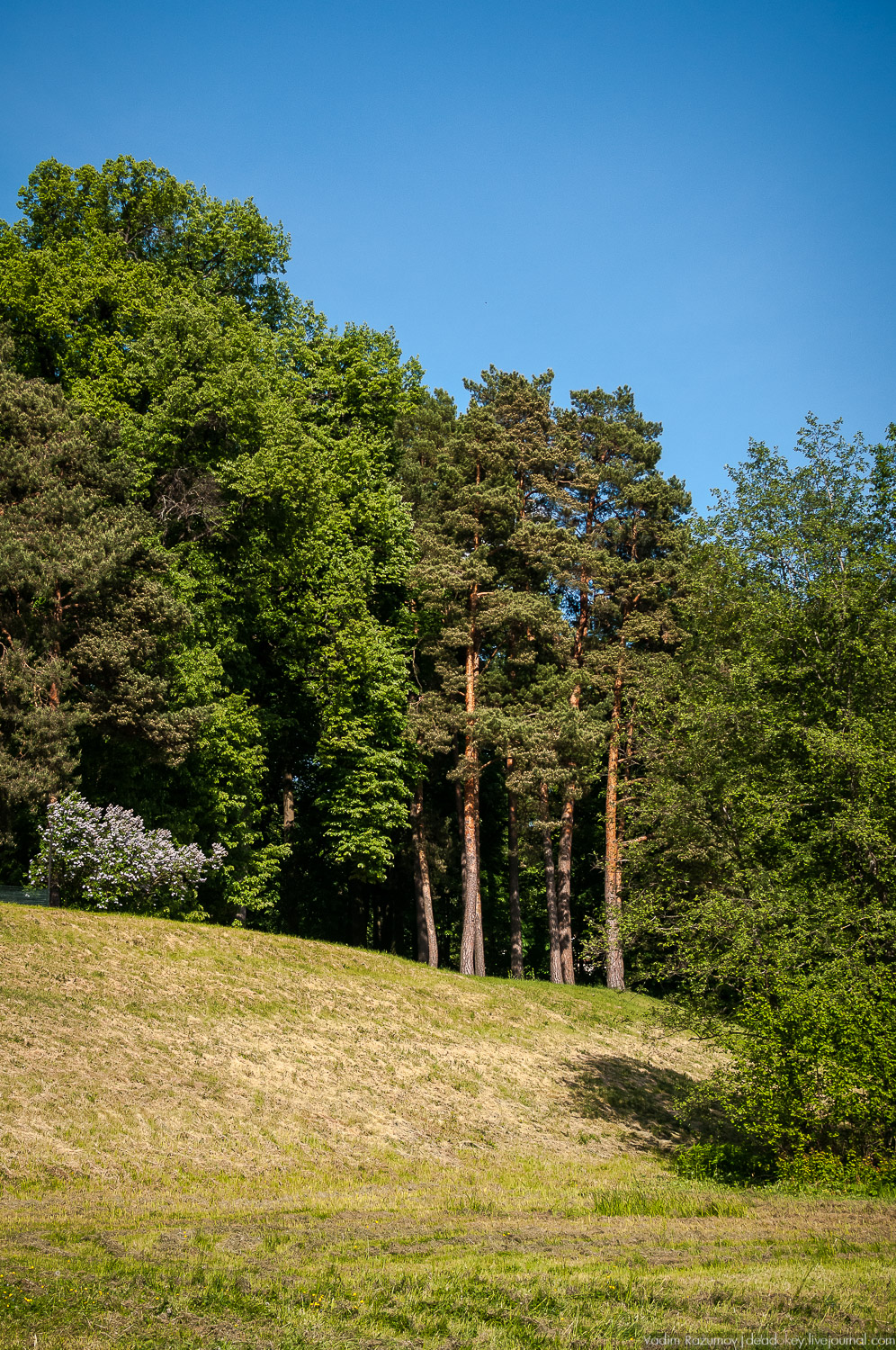 усадьба Валуево в мае