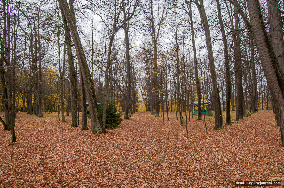 Вороново