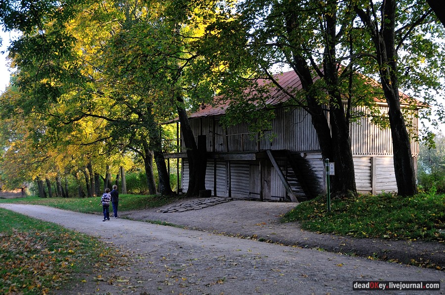 усадьба Ясная Поляна