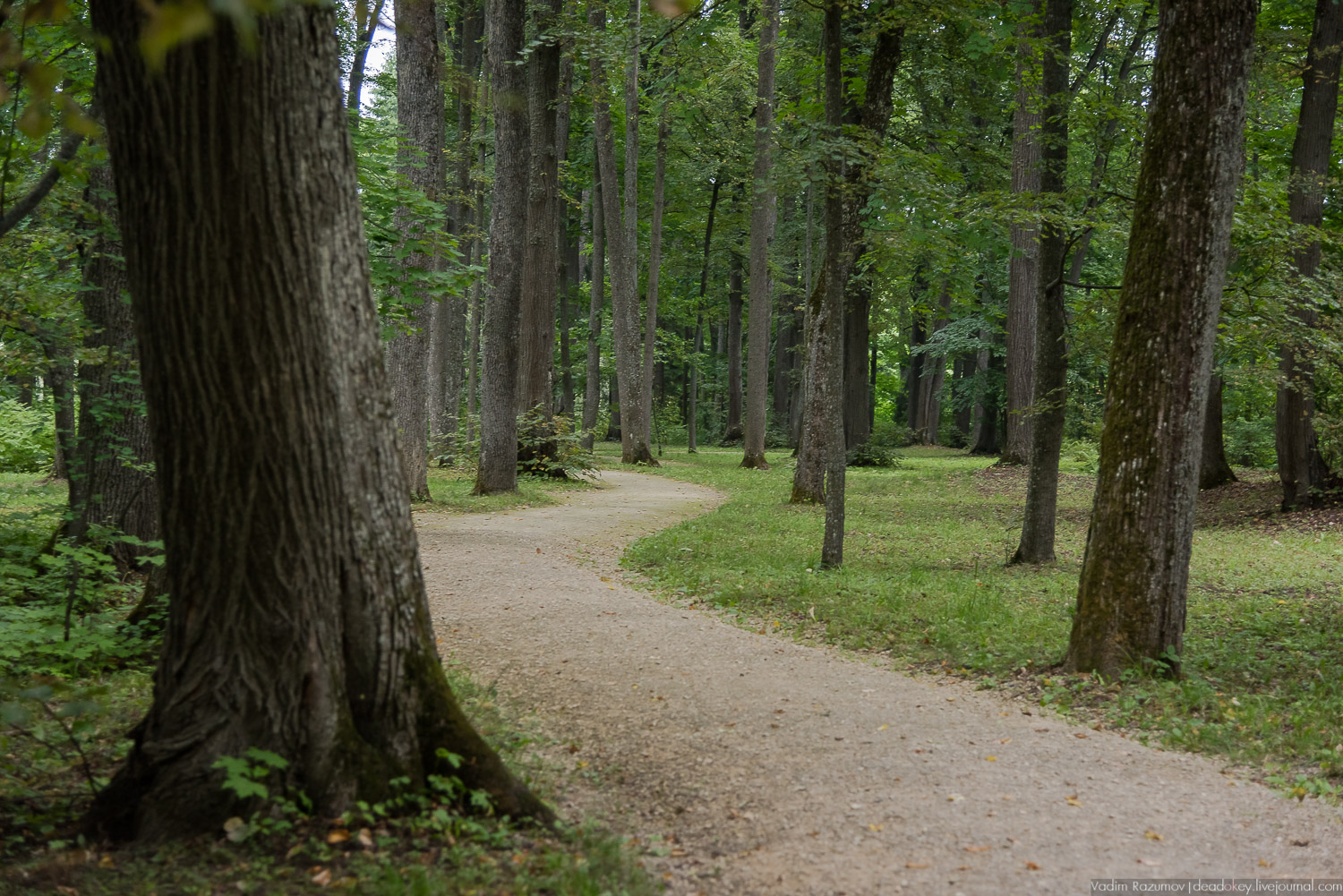 усадьба Спасское-Лутовиново И.С. Тургенева, юбилей Тургенева 200 лет, Орловская область