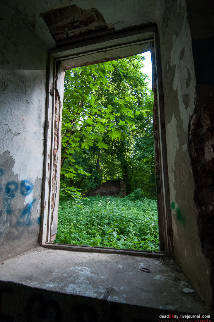 Усадьба Богородское-Кишкино