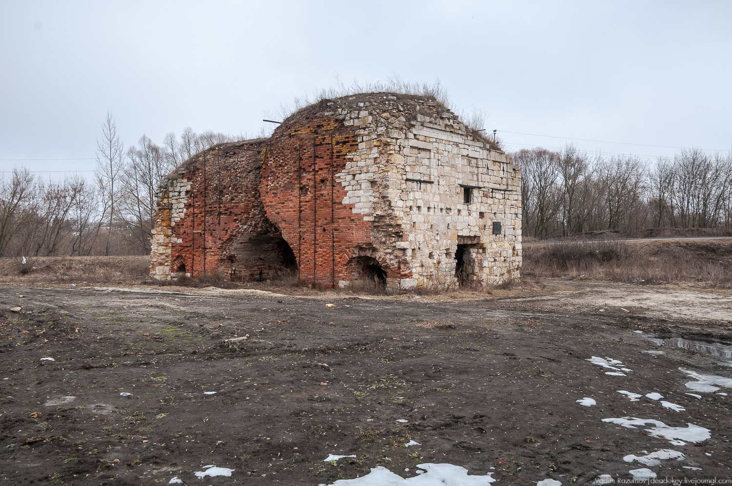 Усадебный экспресс. Рязанская область. Железная история