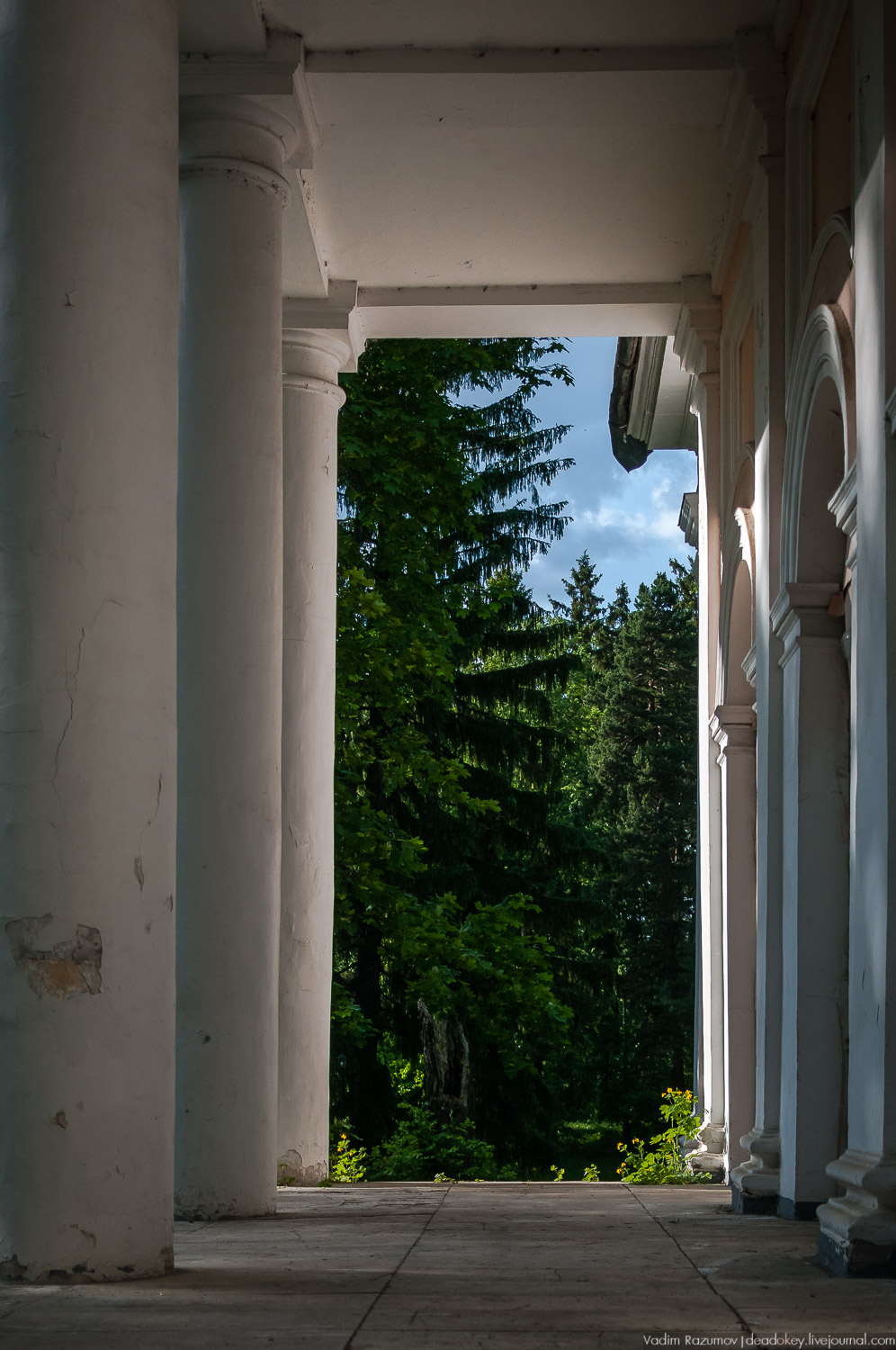 усадьба Валуево в мае