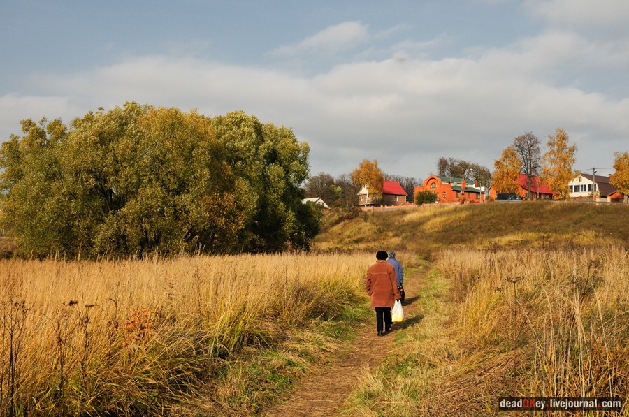 усадьба Образцово