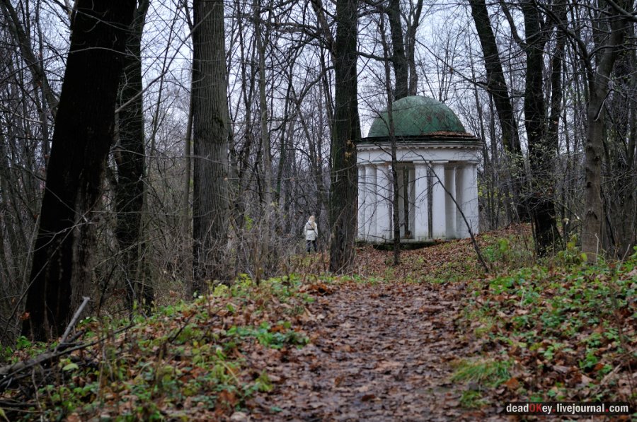 усадьба Горки Ленинские