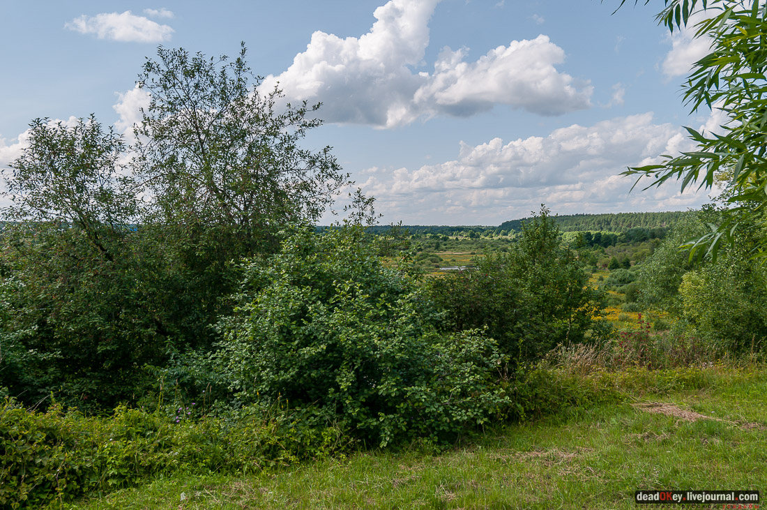 усадьба Баташевых, Гусь-Железный