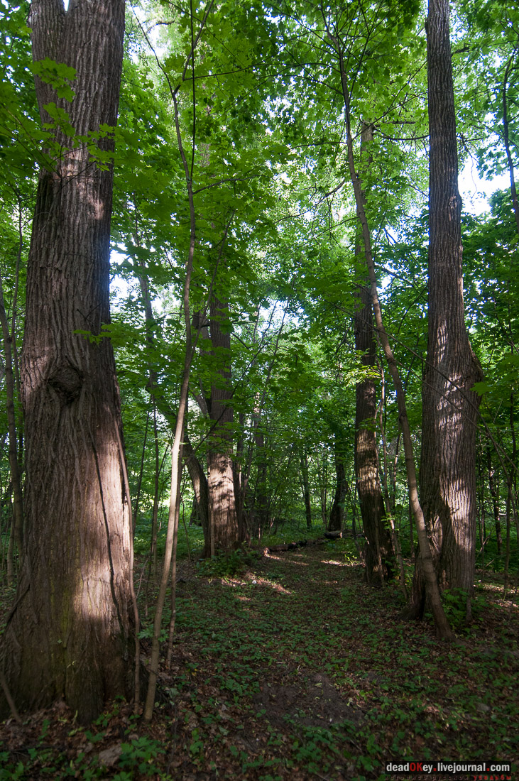 Усадьба Богородское-Кишкино