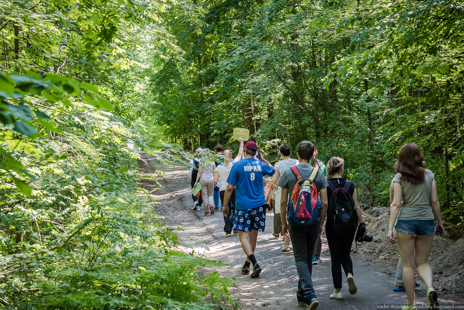 Экоэлектричка. Волонтерский поезд к зубрам в Приокский террасный заповедник