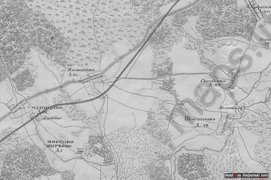 усадьба Мамоново, Сколково, Гусева полоса