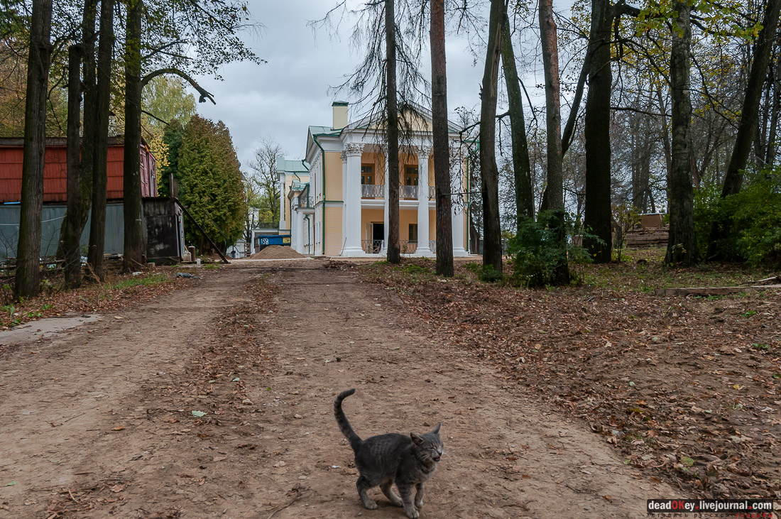 Усадьба Покровское-Рубцово