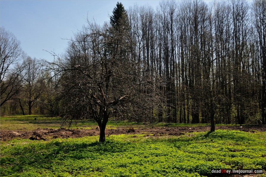 усадьба Андреевское-Туркино (Перематкино)