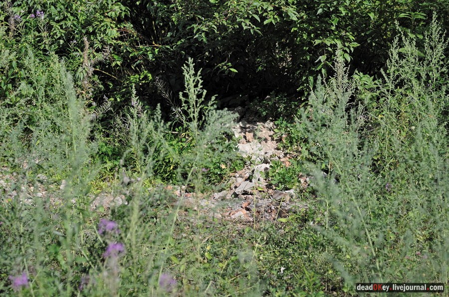 усадьба Хомяково