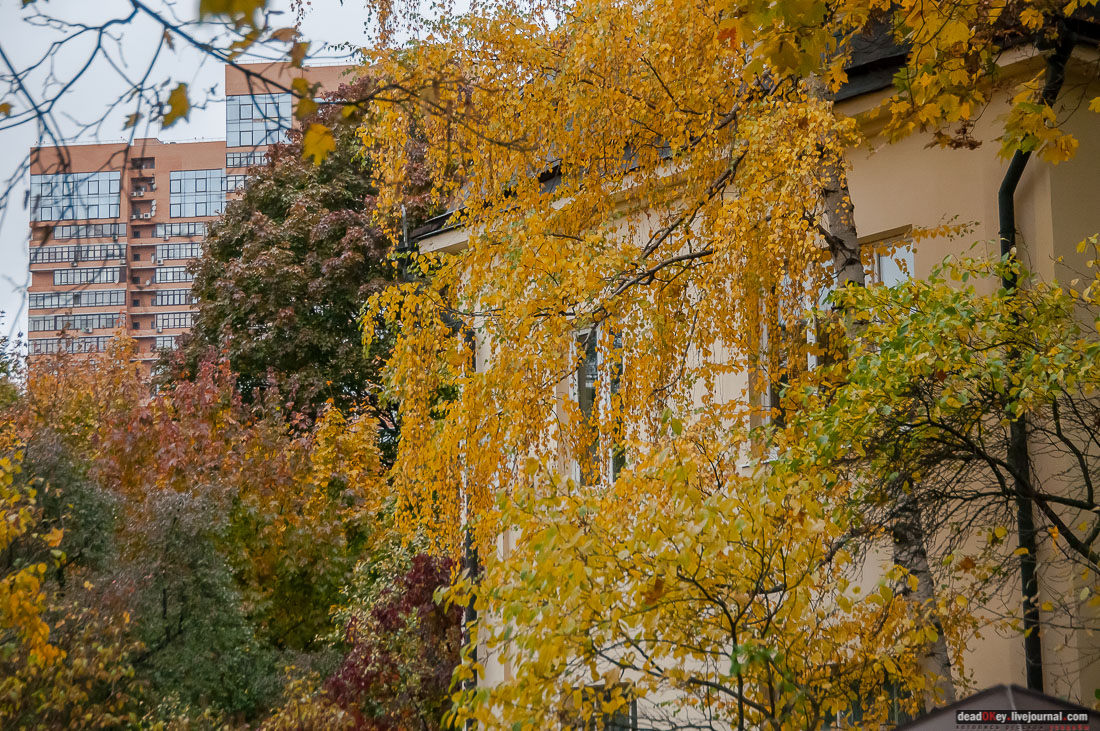 кооперативный поселок Сокол, поселок художников, Москва