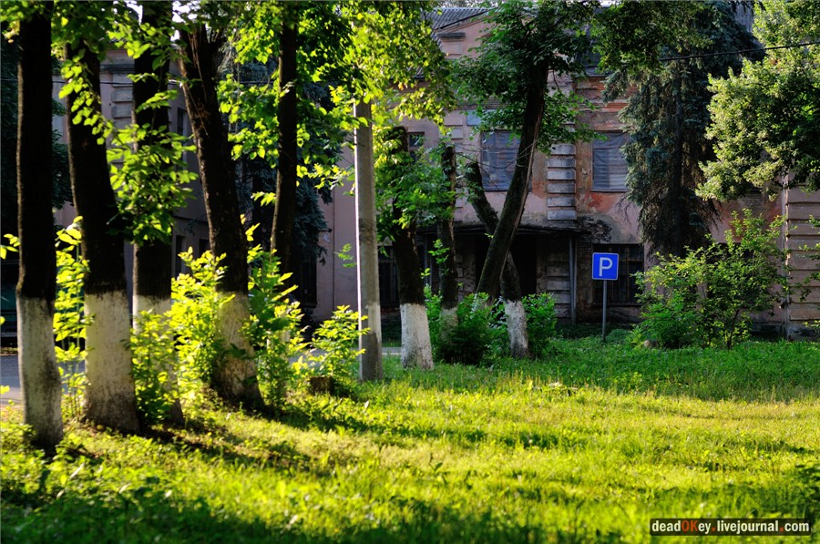 усадьба Долгое Ледово