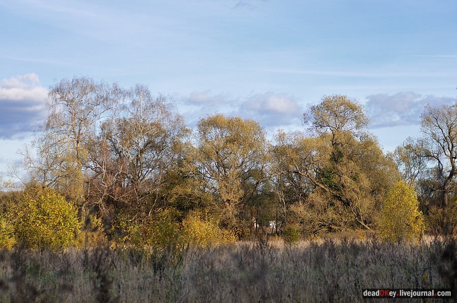 усадьба Дубровка (Мансурово)
