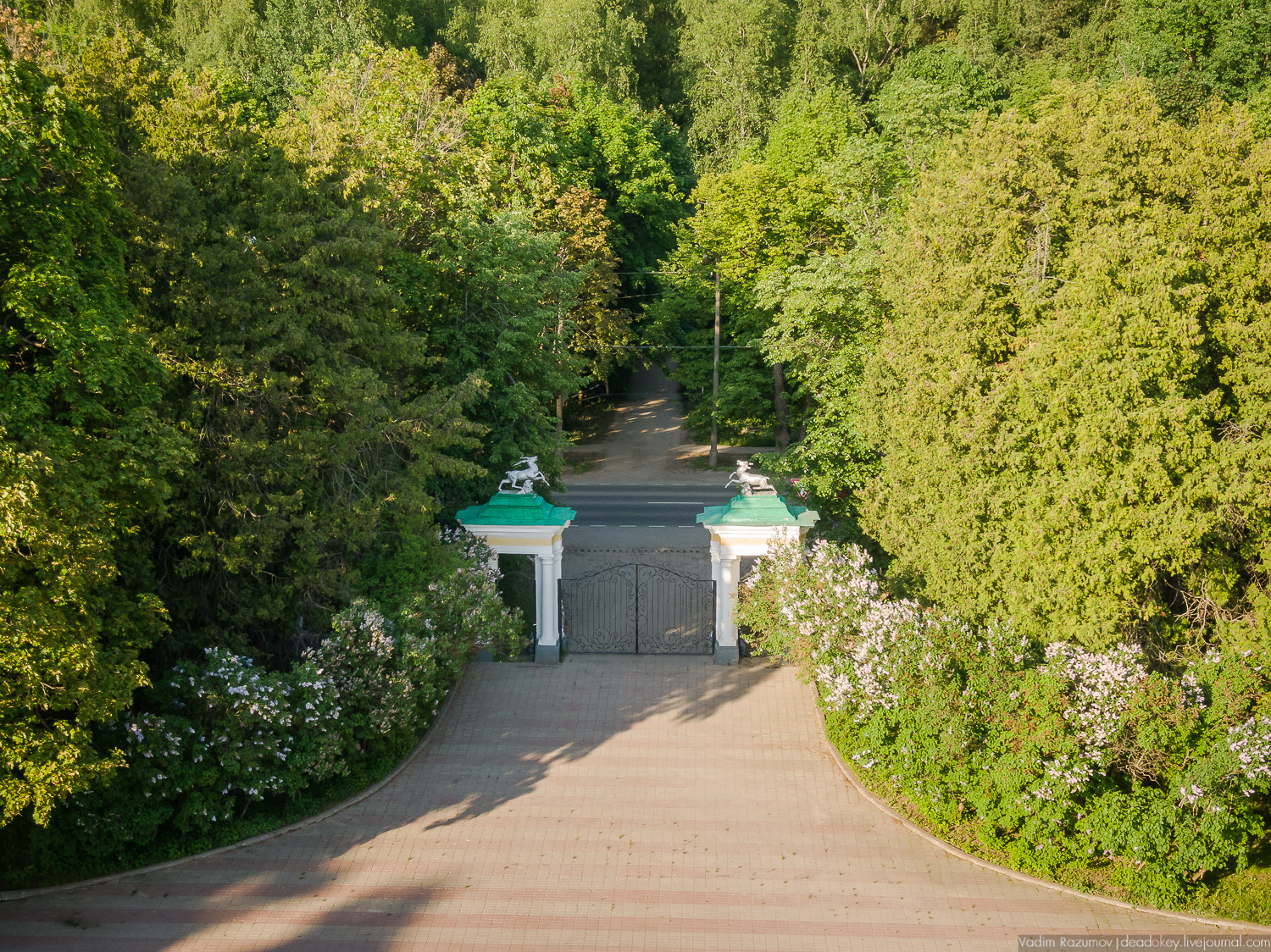 усадьба Валуево с дрона