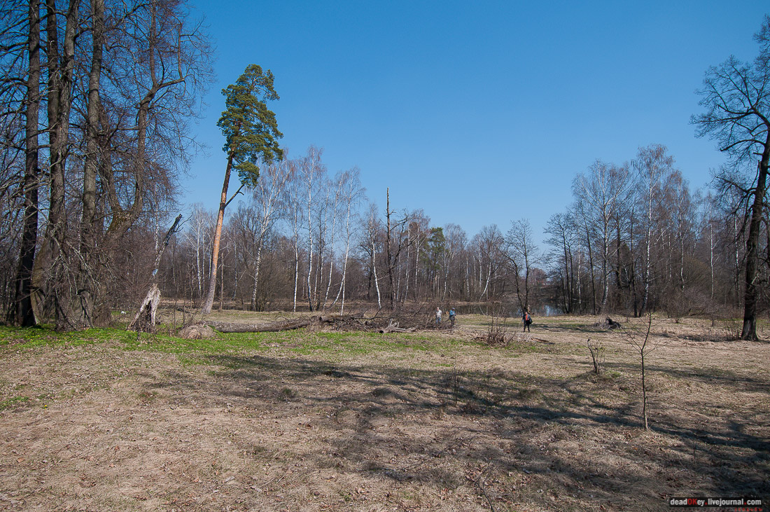 усадьба Савинское (исследование масонского парка)