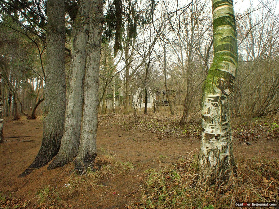 усадьба Глухово