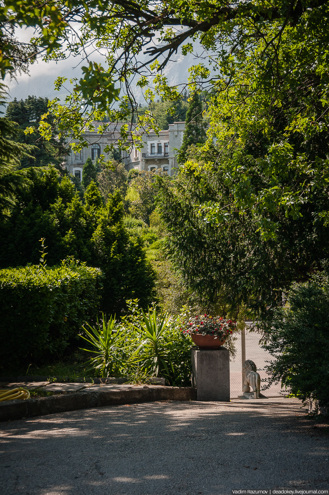 Юсуповский дворец, Крым, львы