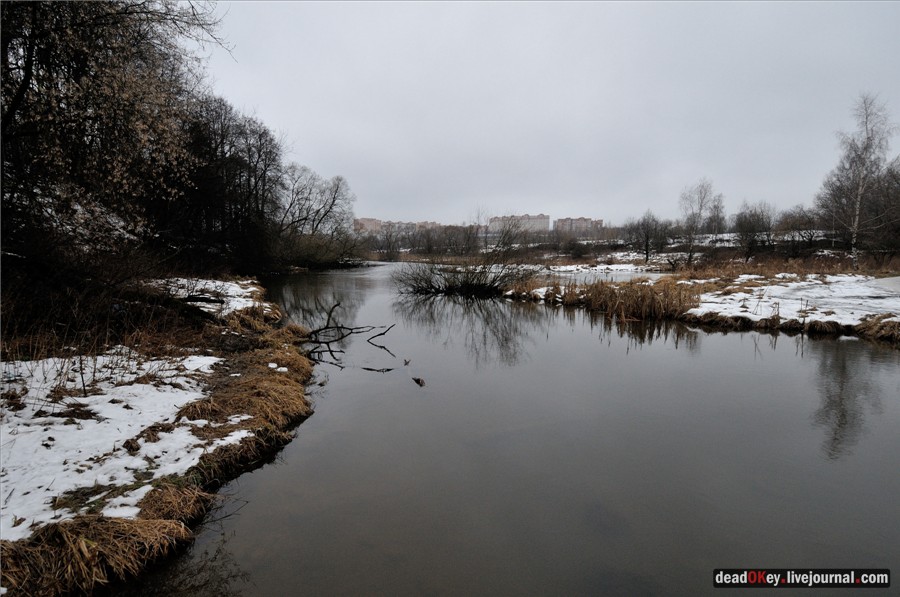 усадьба Пехра-Яковлевское