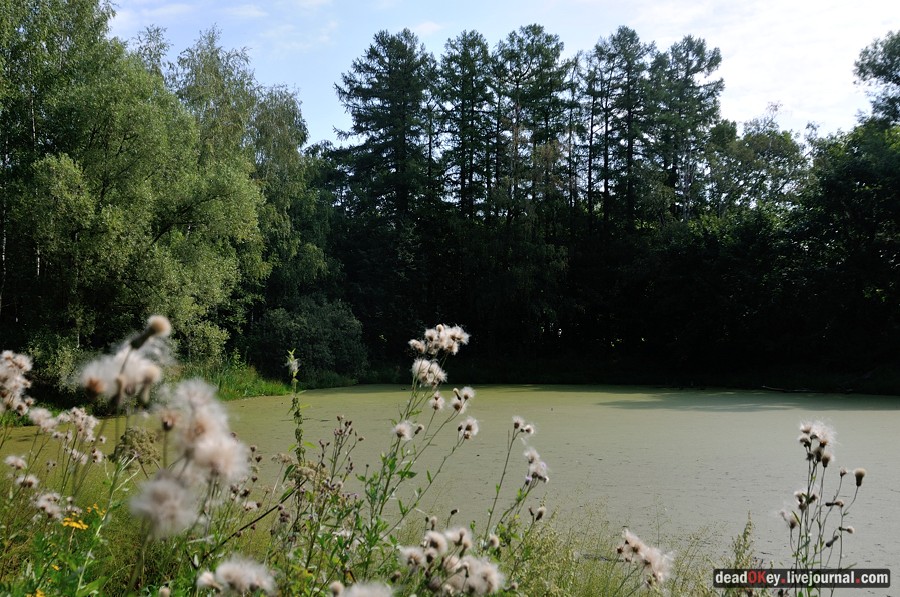 усадьба Пронино