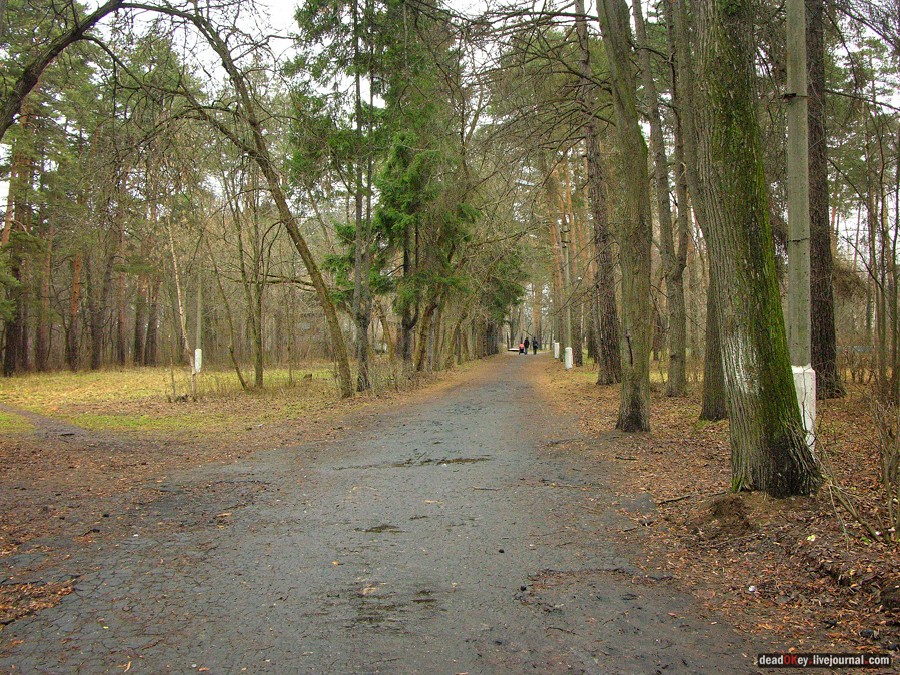 усадьба Глухово