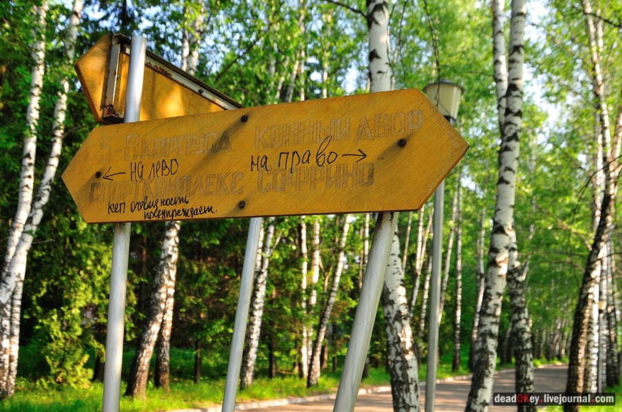 усадьба Богословское-Могильцы