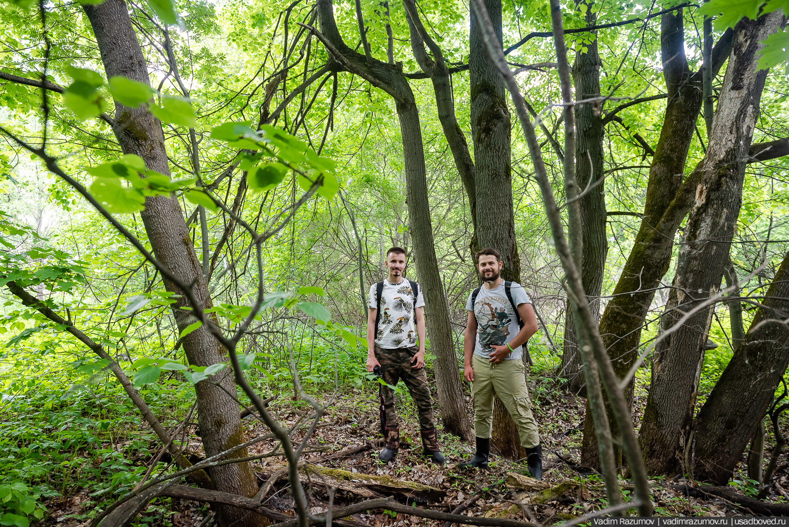 Старое Глазово, могила Василия Баженова, 2021 год