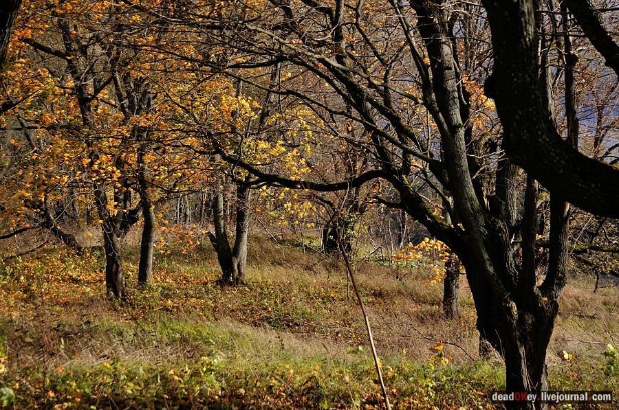 усадьба Авчурино