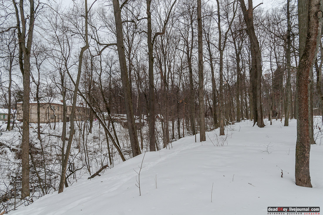 Усадьба Жерехово