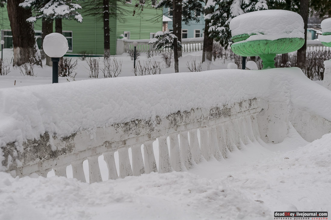 усадьба Васильевское-Скурыгино