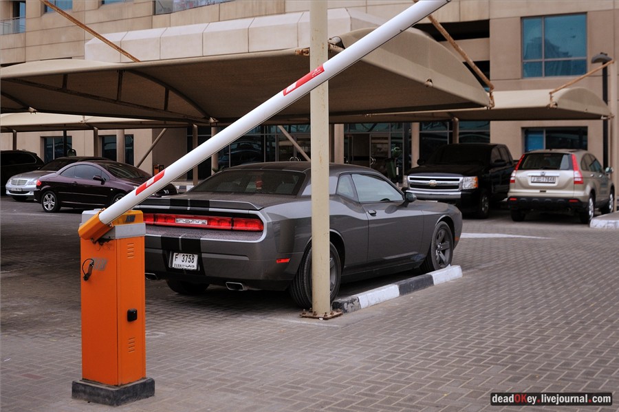 ОАЭ. Машины в Эмиратах