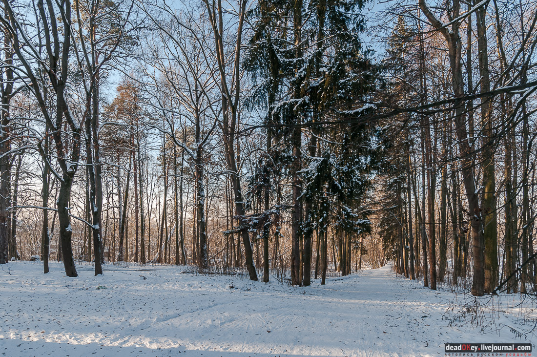 усадьба Васькино