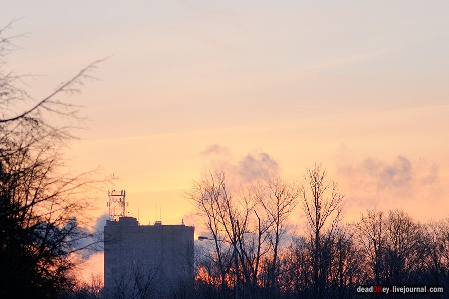 усадьба Люберцы