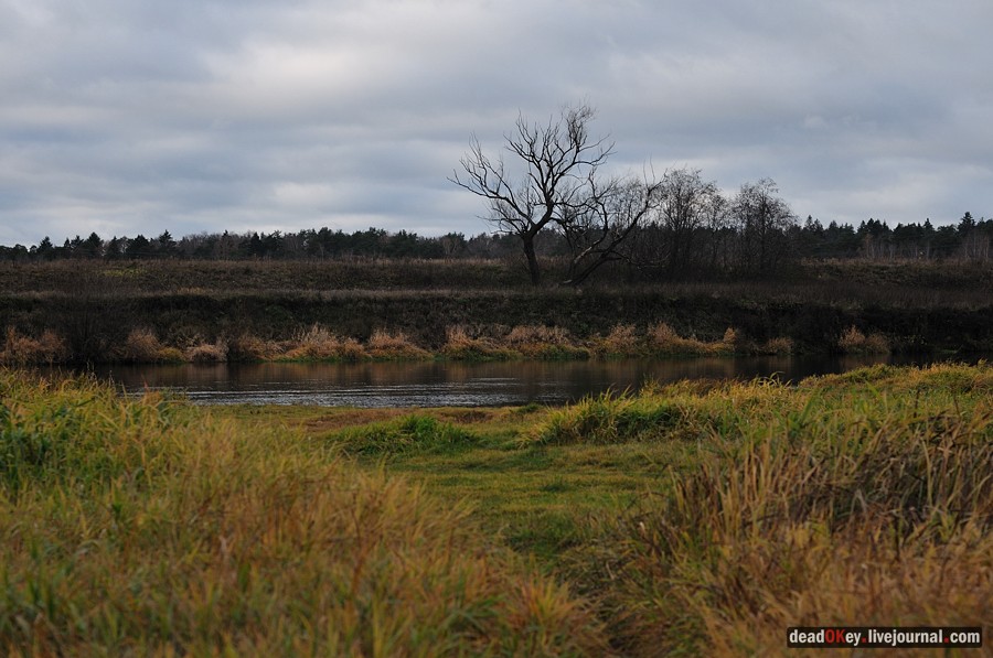усадьба Успенское