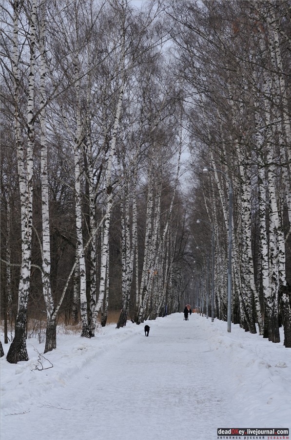  усадьба Гиреево