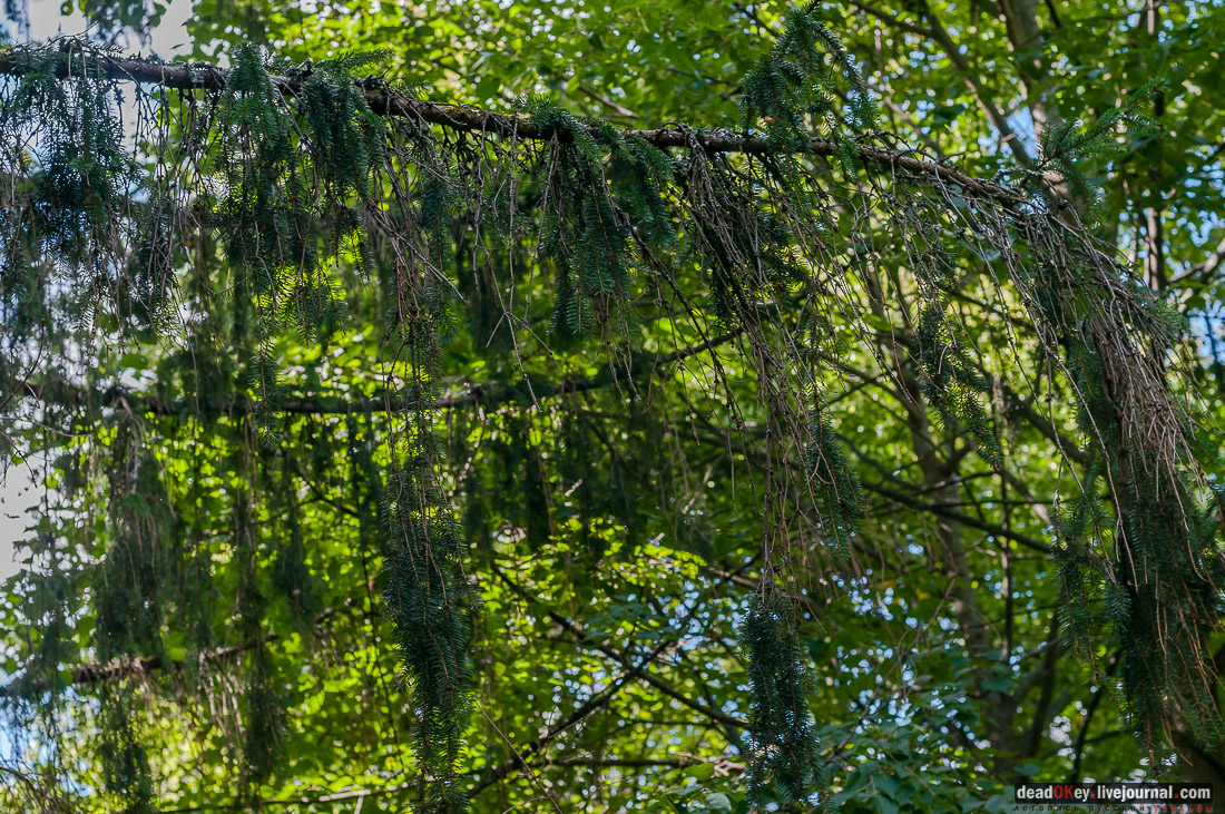 усадьба Васильевское Повалишиных