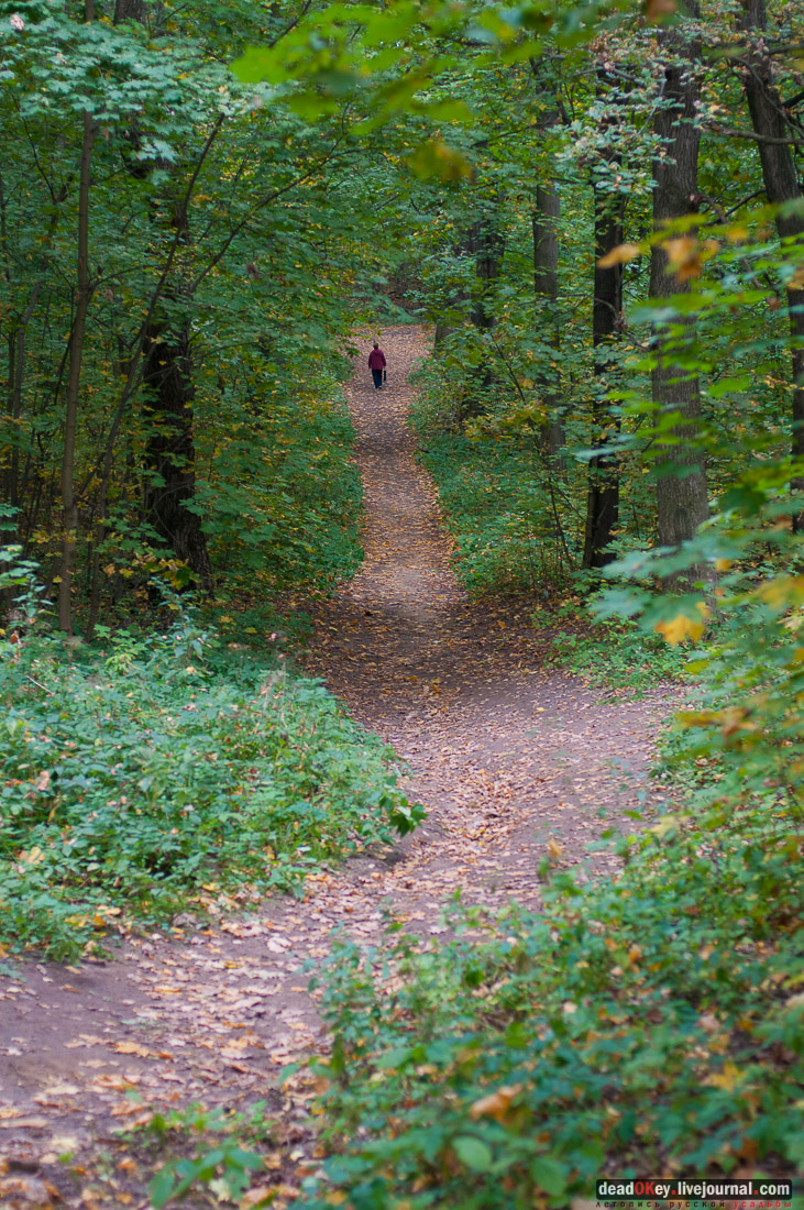 усадьба Быково. Встреча волонтеров 20 сентября 2015 года