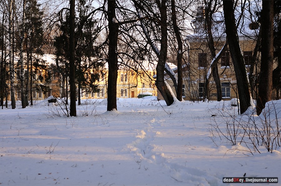 усадьба Андреевское