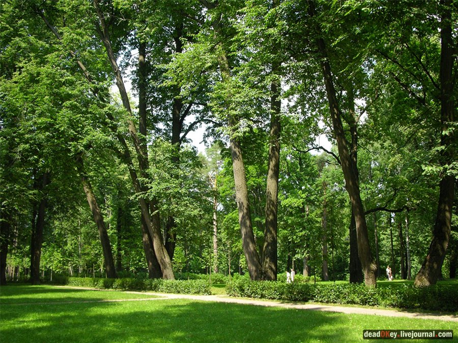 усадьба Остафьево