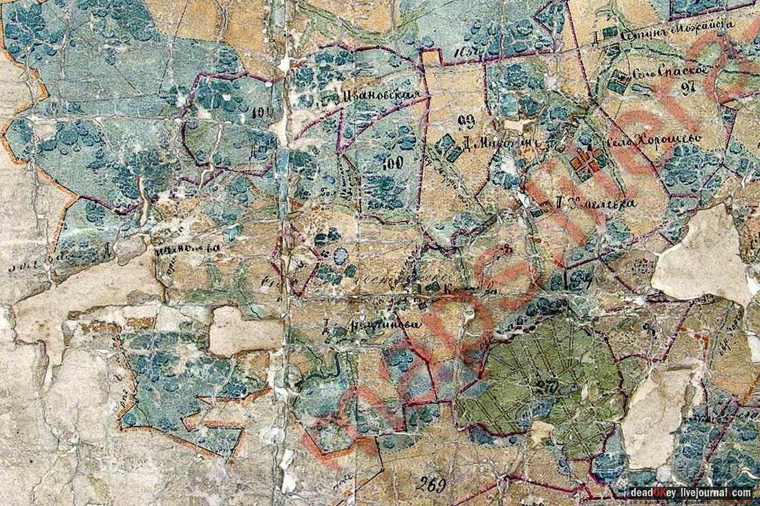 усадьба Мамоново, Сколково, Гусева полоса