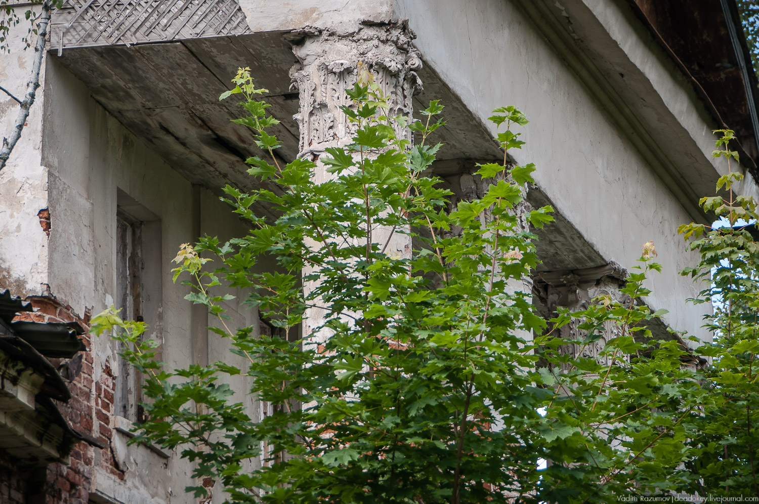 усадьба Старое Зимино, Рязанская область, волонтерский субботник, интервью