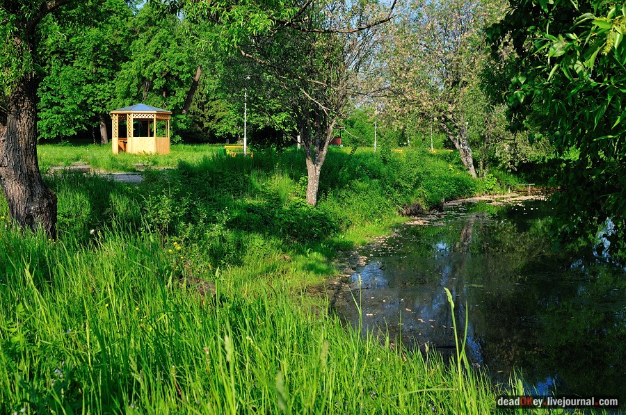 усадьба Богословское-Могильцы