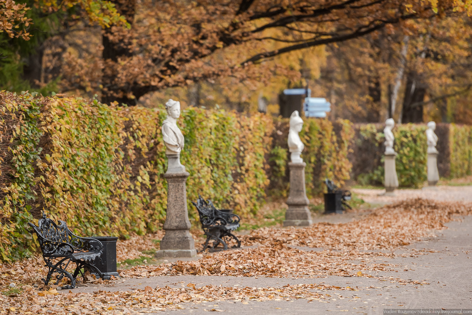 усадьба Кусково, осень 2018 года