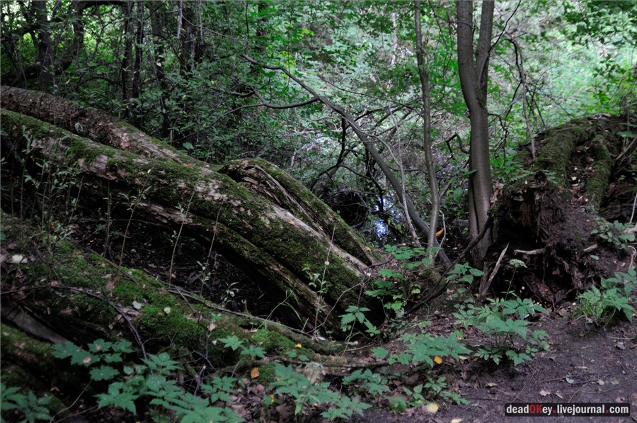 усадьба Алмазово