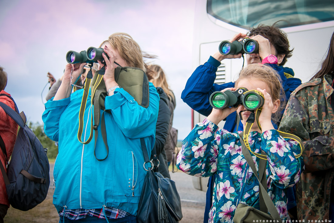 Экоэлектричка на родину журавлей в г. Талдом.