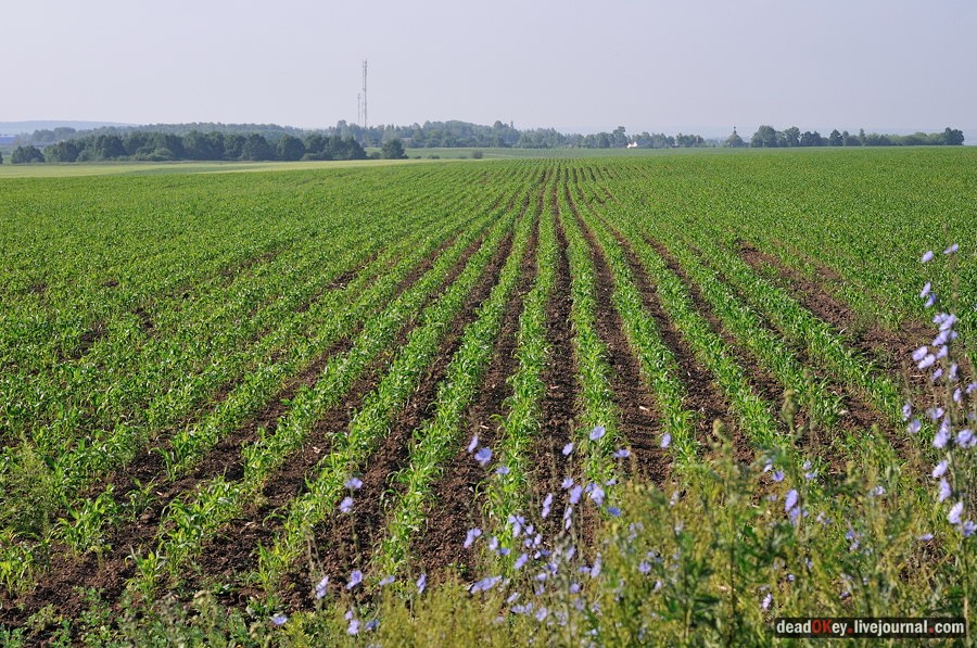 усадьба Подолец