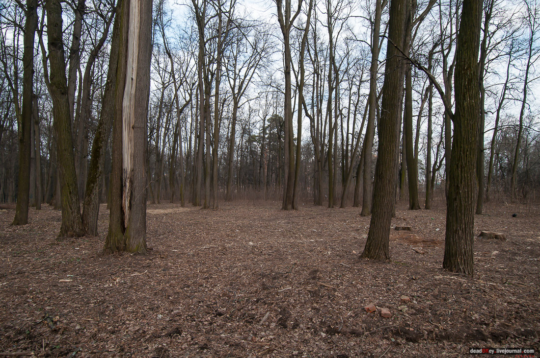Усадьба Знаменское-Губайлово 