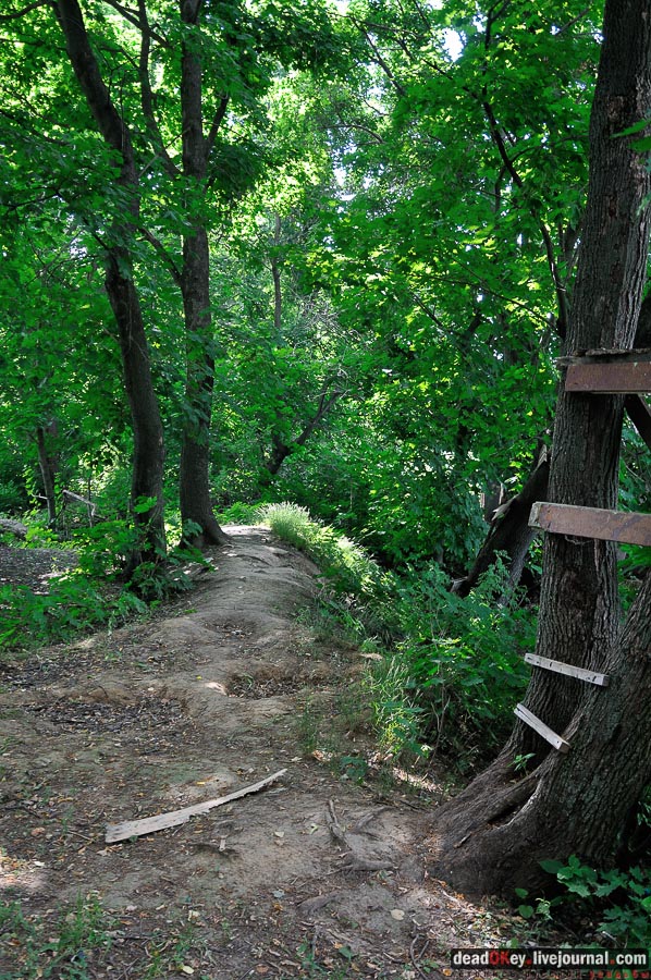 усадьба Городна